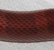 Bloodred Corn Snake Scale Close-Up